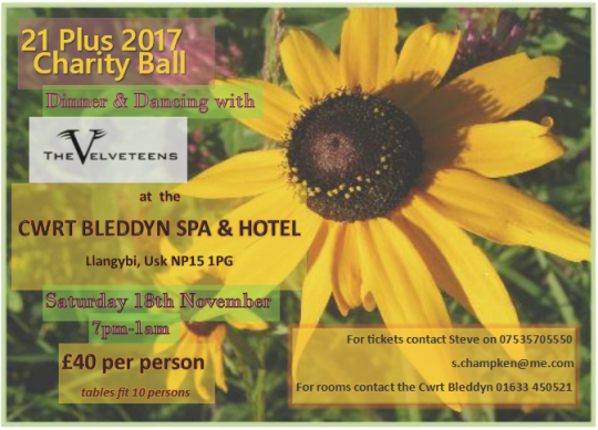 21 Plus 2017 Ball Flyer IMPROVED.PNG